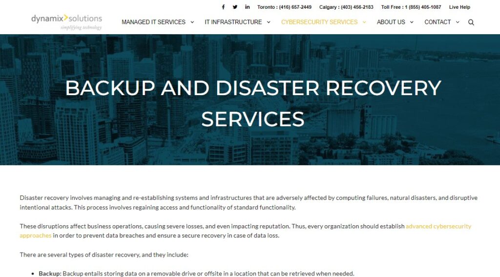 A screenshot of the website for Dynamix Solutions.