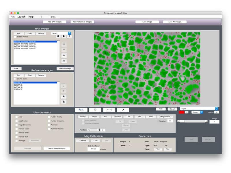 A screenshot of the image analysis feature of MIPAR.