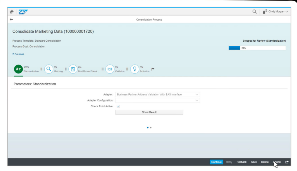SAP Master Data Governance consolidation process feature