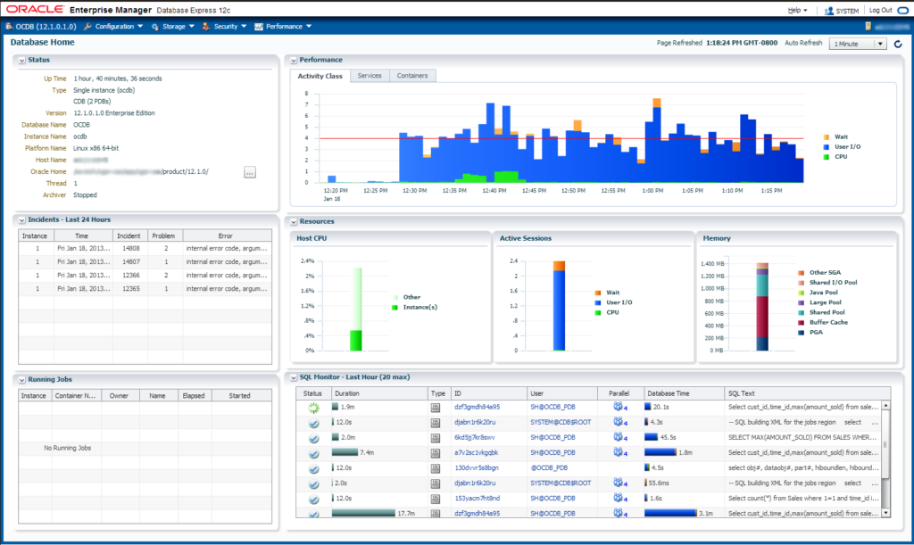 Oracle Database relational databases software interface