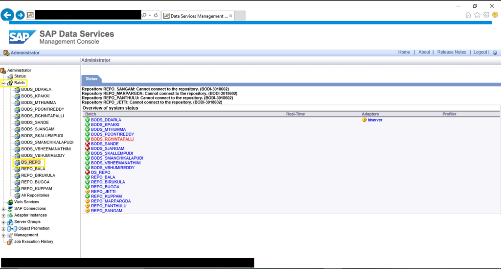 SAP Data Services data quality software interface