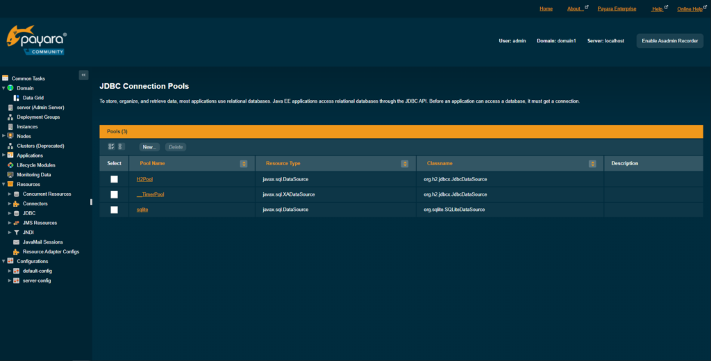 Admin panel in Payara Server application server software