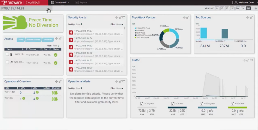 Radware DefensePro DDoS protection software interface