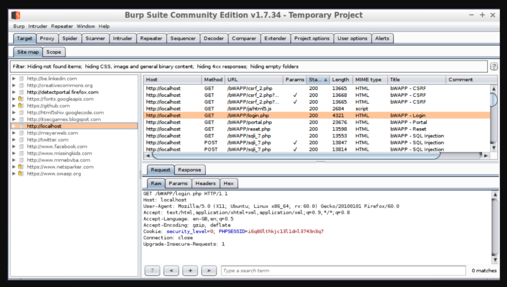 Burp Suite evaluating the App security demonstration website