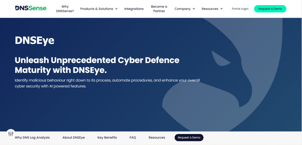 DNSEye DNS security service interface