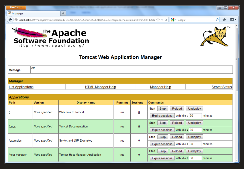 Apache Tomcat application server software interface