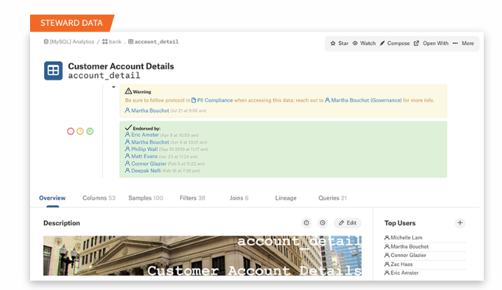 Alation data catalog customer account details