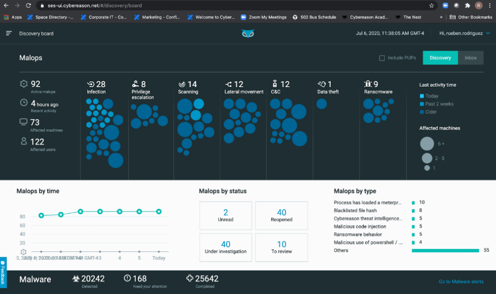 Cybereason security risk assessment tool