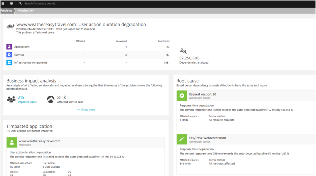 Problem overview in Dynatrace performance monitoring tool