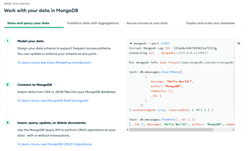 A screenshot focused on the additional information provided by the tool MongoDB.