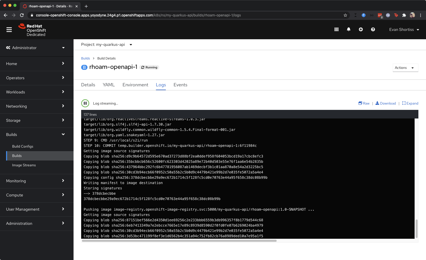 A screenshot of the API tool in Red Hat Openshift
