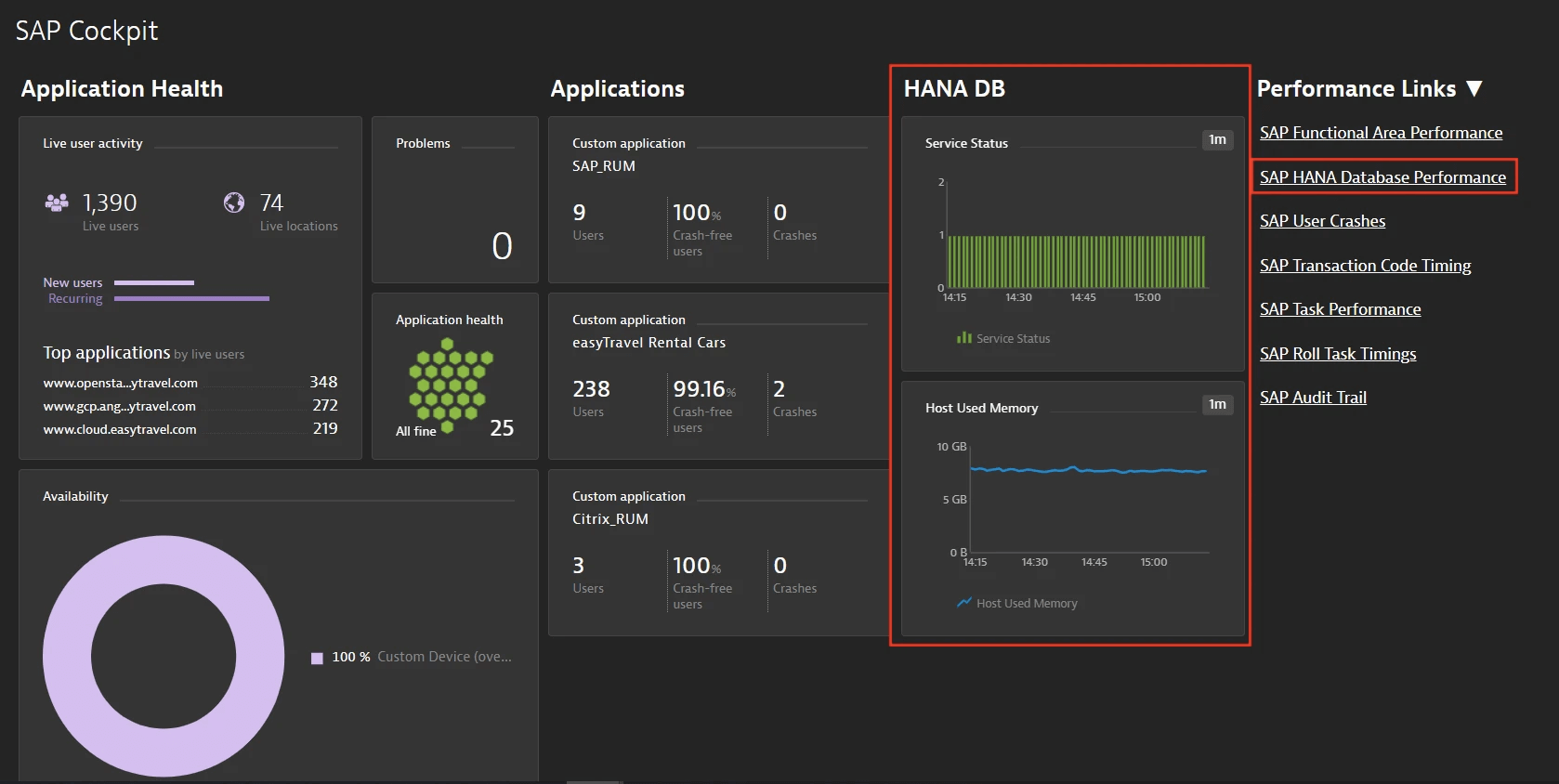 SAP HANA analytics dashboard