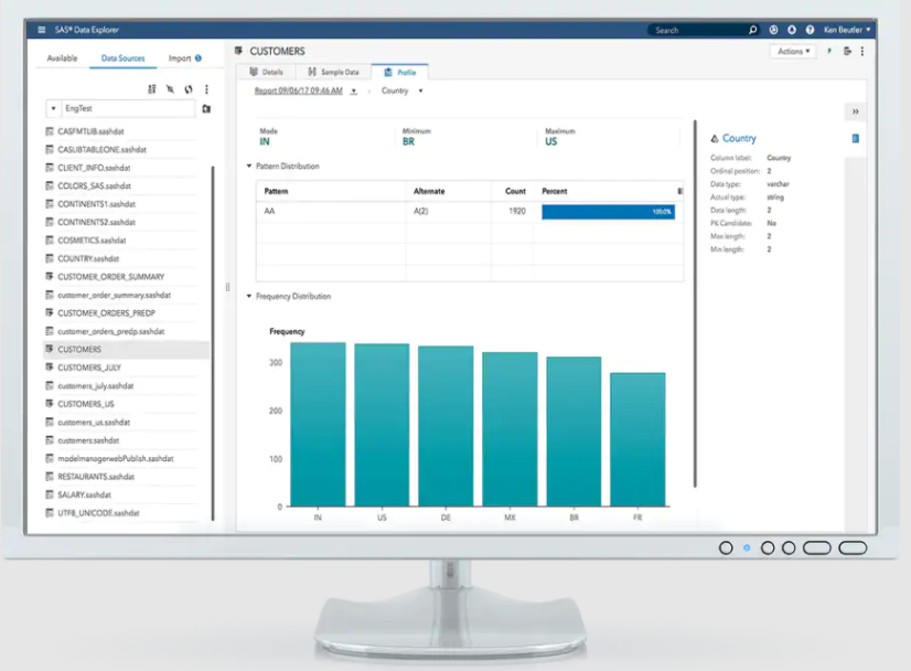 SAS Data Management visual interface