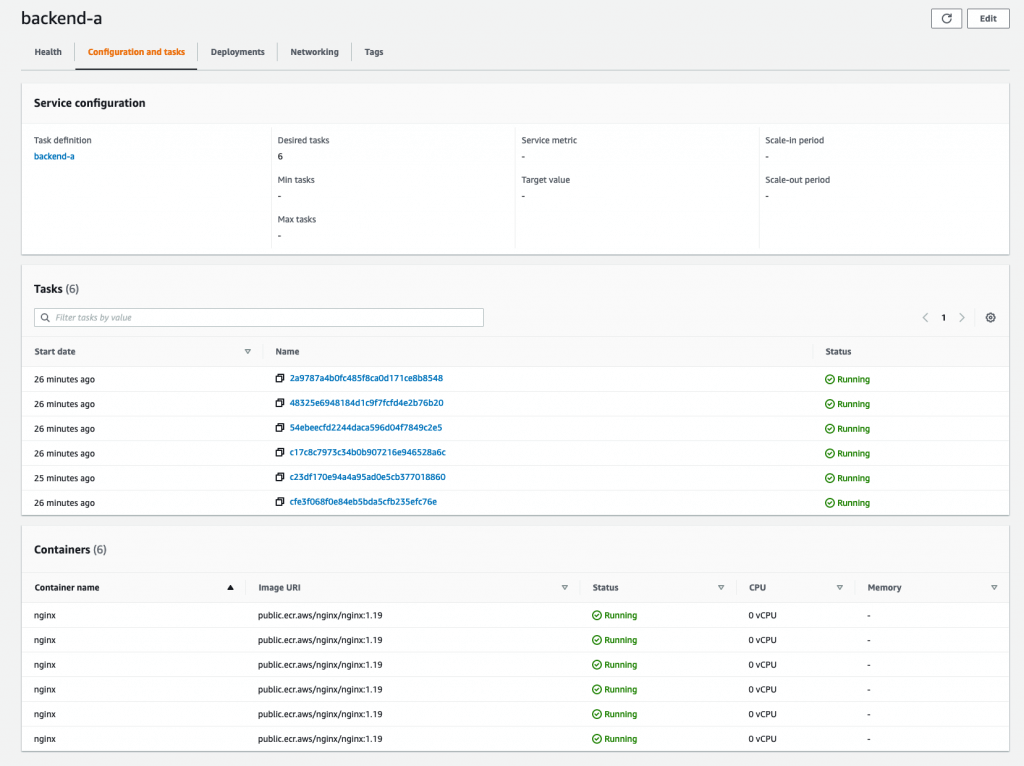 Amazon Elastic Container Service containerization software screenshot