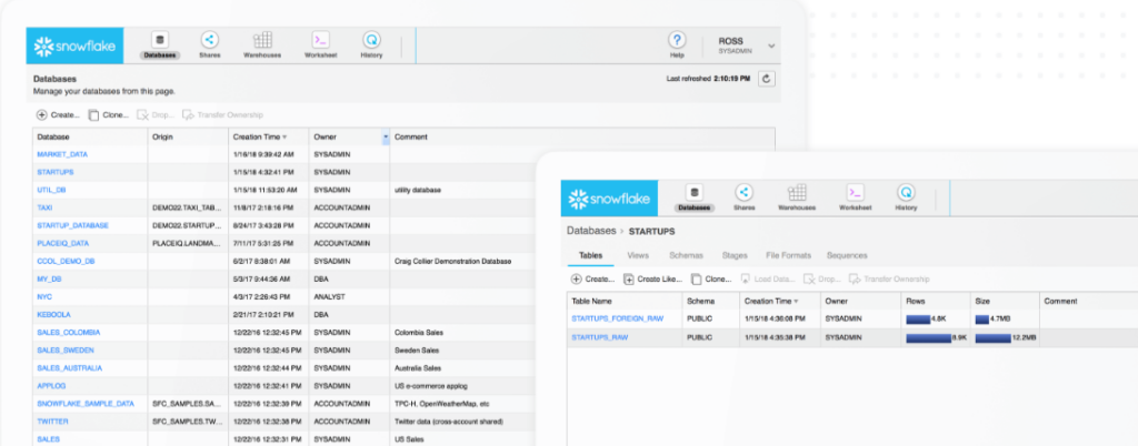 Snowflake data management software