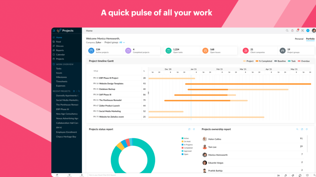 Zoho Projects collaborative coding platform portfolio dashboard