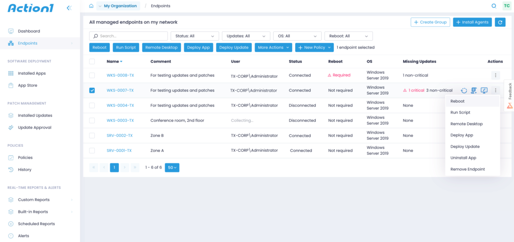 Action1's endpoints section