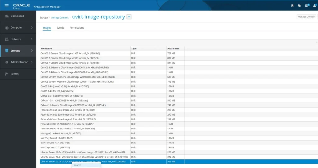Storage tab of Oracle Virtualization software